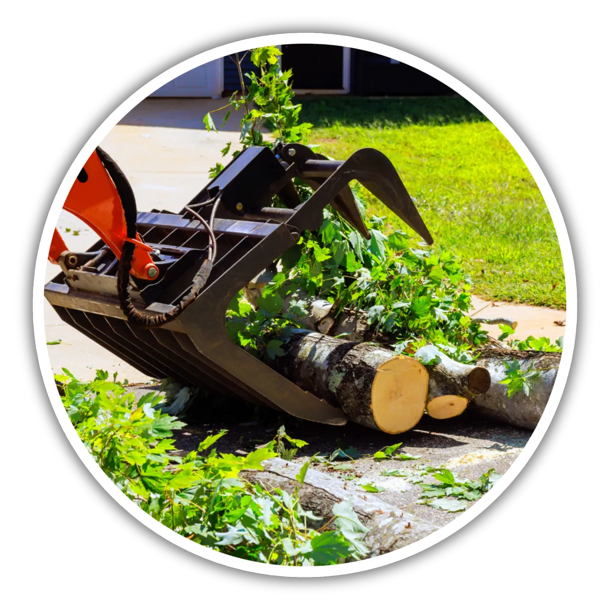 Storm Debris