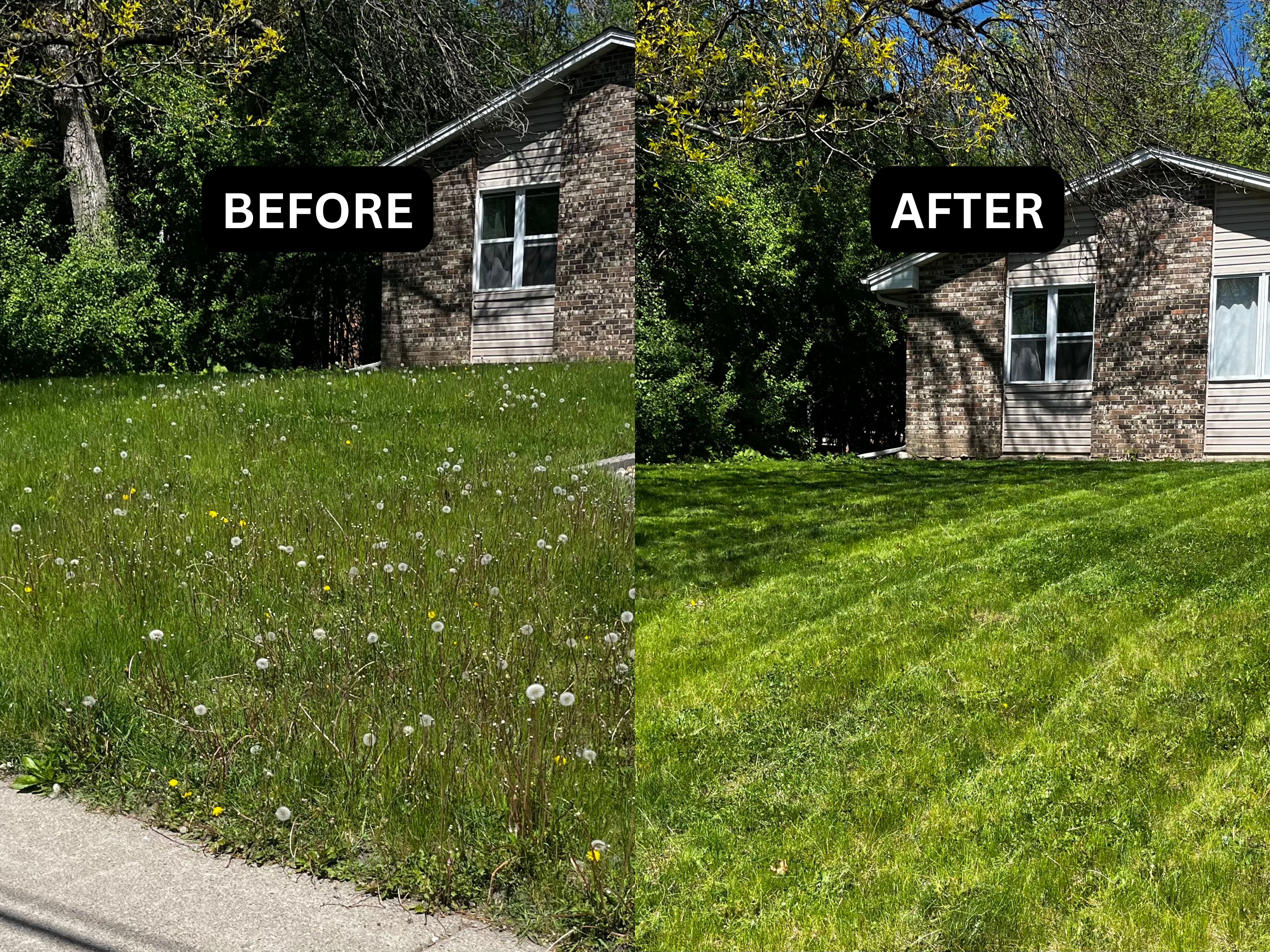 Snow Removal Minneapolis