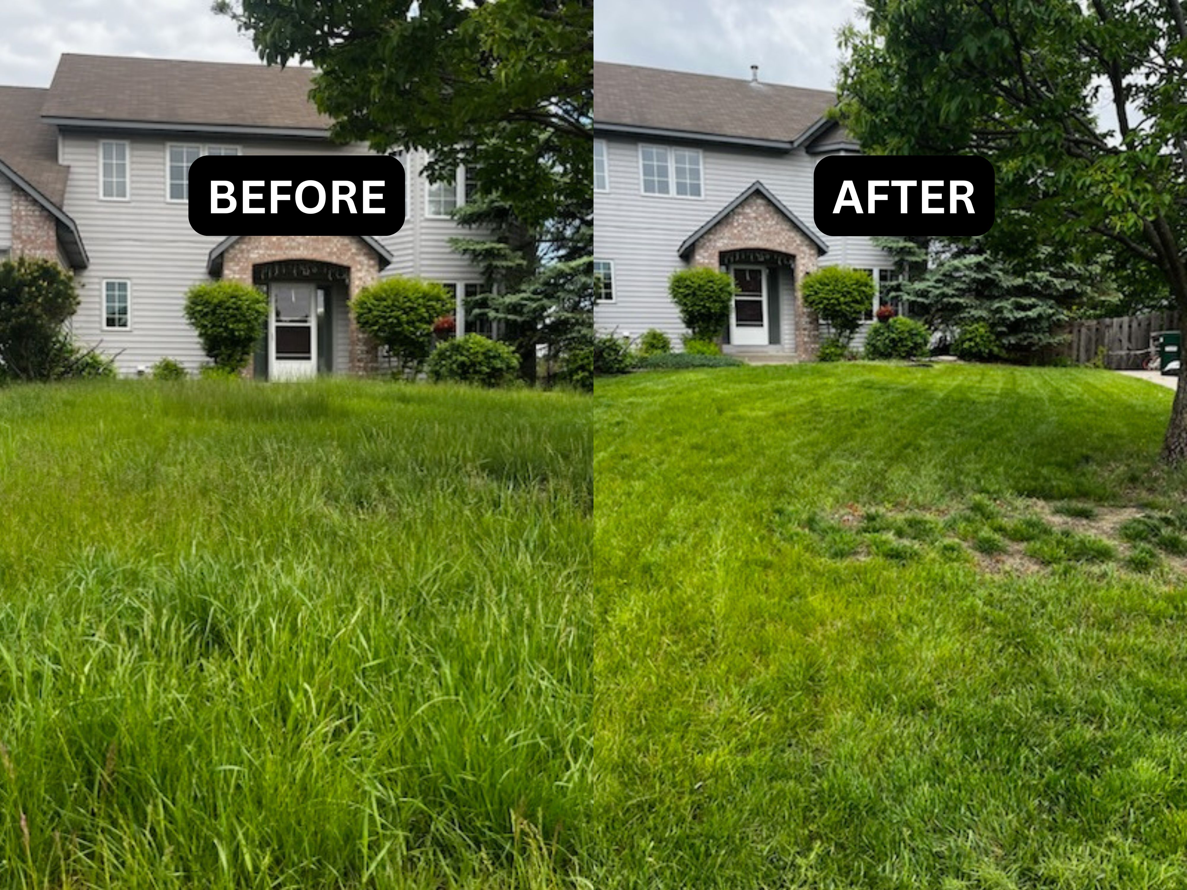 Gutter Cleaning Minneapolis