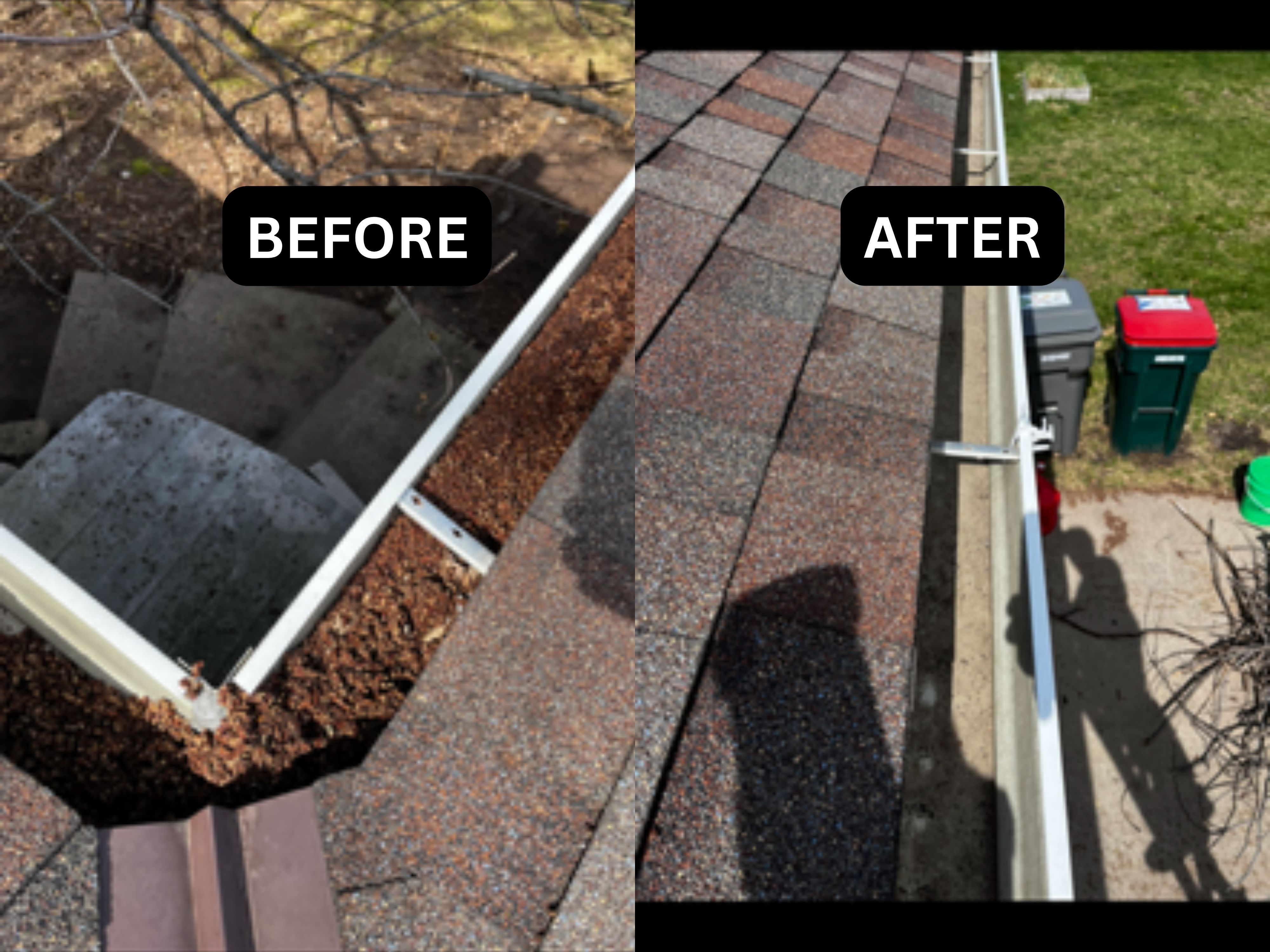 Animal Waste Cleanup Minneapolis