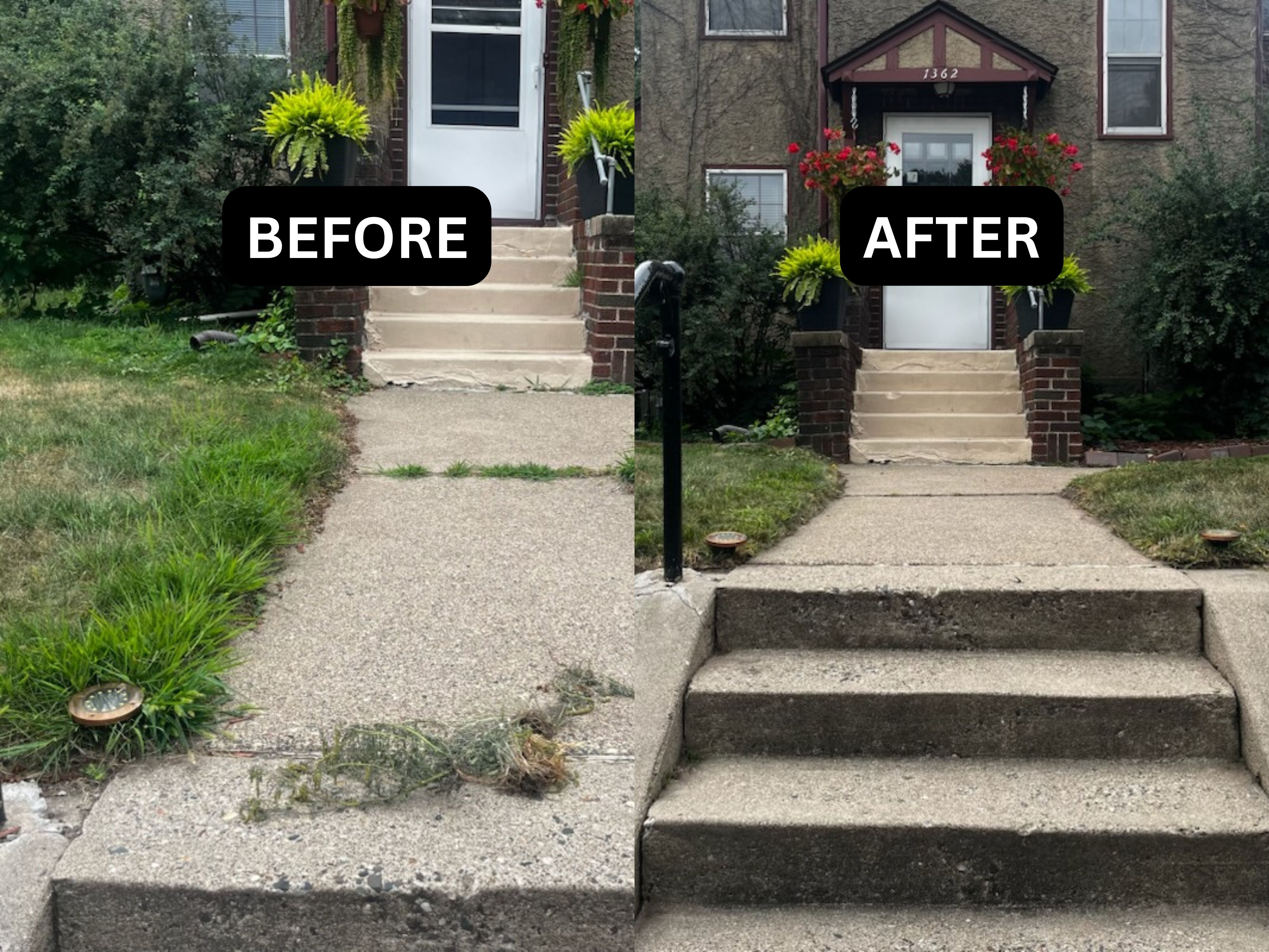 Weed Control Minneapolis