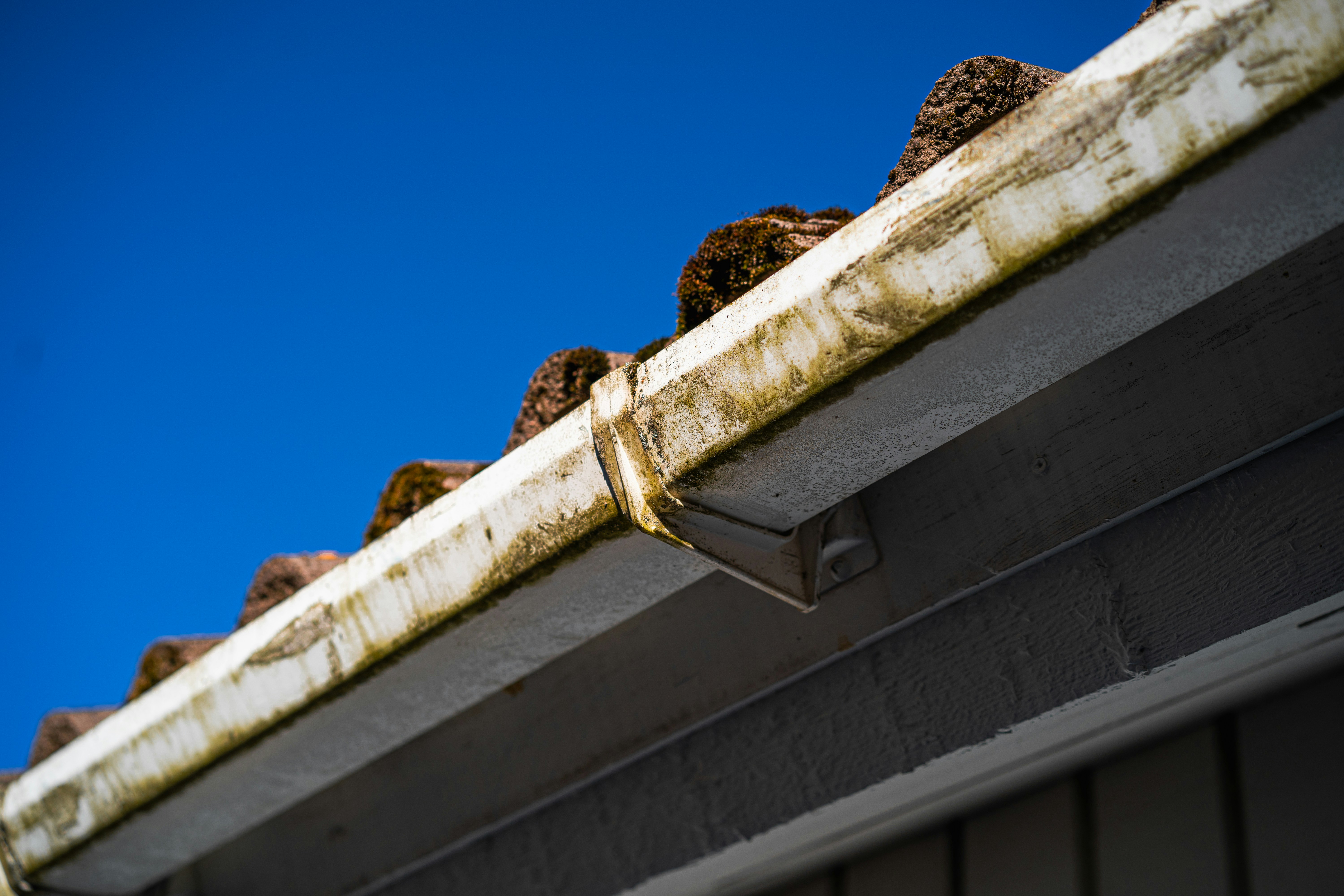Gutter Cleaning in Minneapolis