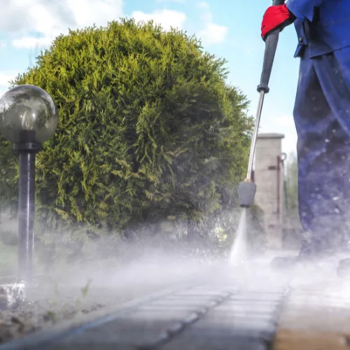 A guy power washing a streeet next to green bushes