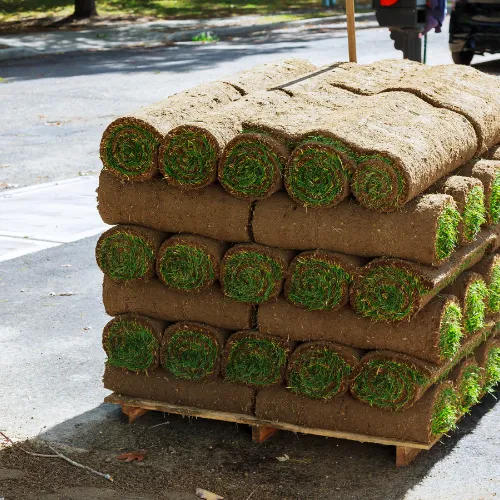 A pile of fresh sod on a driveway ready to be laid down