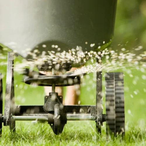 A fertilizer spreader sending fertilizer onto a lawn