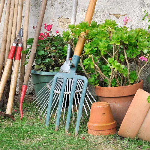 A bunch of gardening tools standing vertically in the lawn