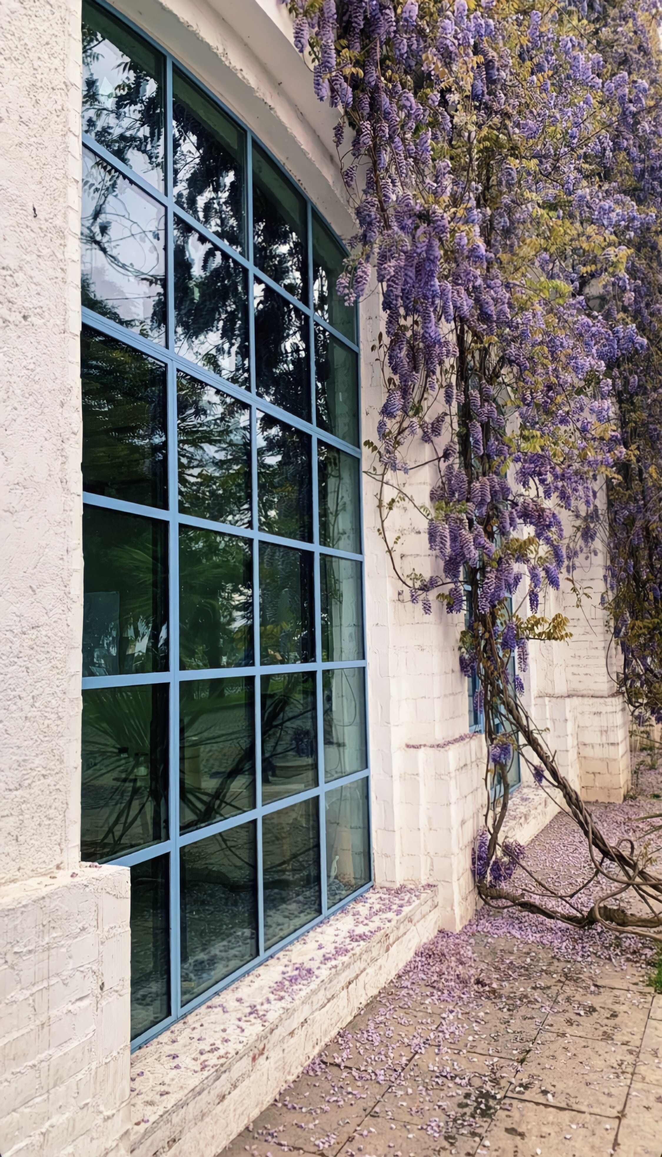 Commercial glass installation by Collins Glass & Glazing