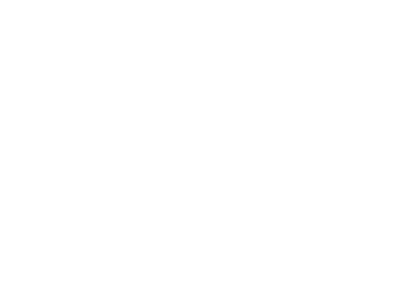 professional tree service contractor