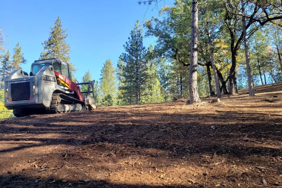 land clearing auburn