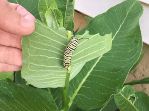 Full-Time Childcare Ann Arbor