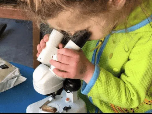 Preschool Program Ann Arbor