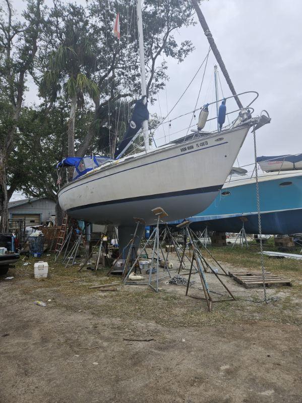 Modern bathroom renovation for Los Angeles homeowners