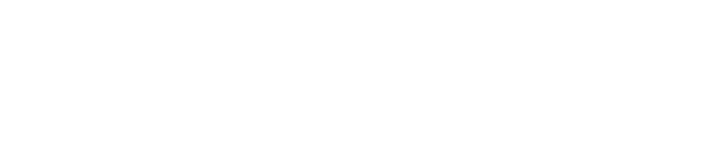 South Forida Home Pro LLC Logo Horizontl