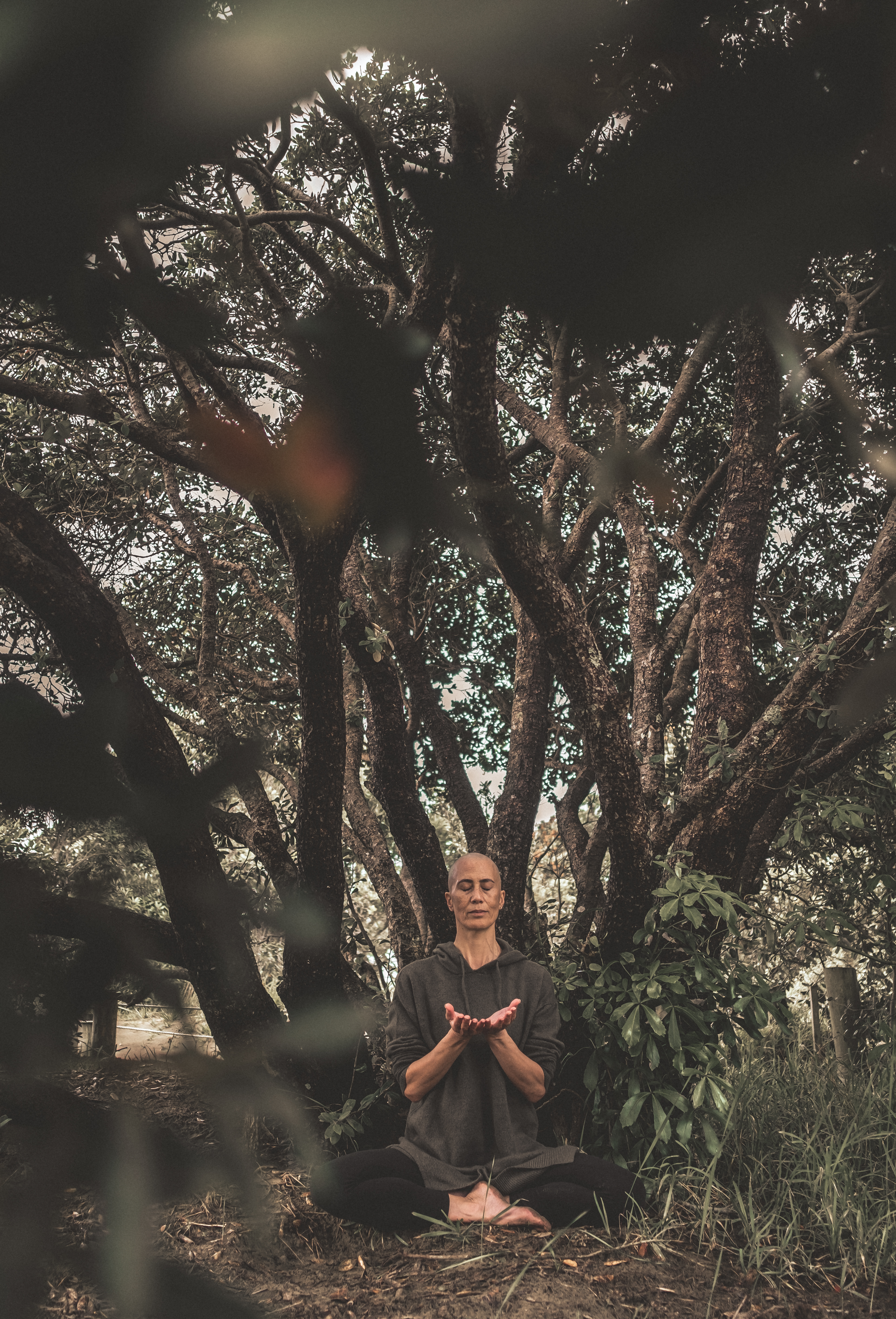 Expand self awareness & thrive in life