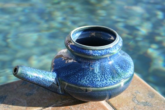 The Natural Way to Manage Allergies: Nasal cleansing for Holistic Health.