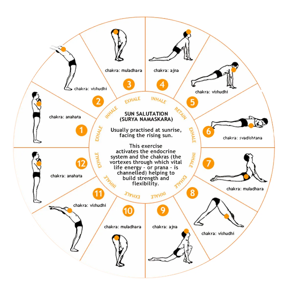 Sun Salutation - Breaking it down, building it up.