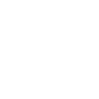 Cat Emergency Treatments Lodi CA