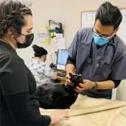 Pet Vaccinations in Lodi CA