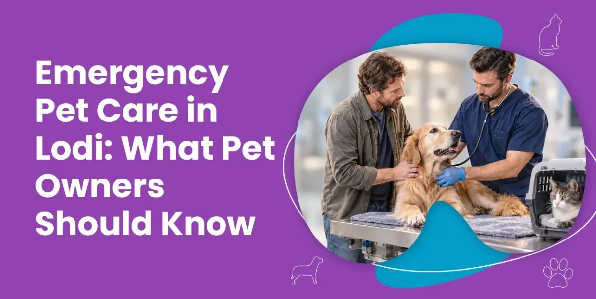 Emergency Pet Care in Lodi: What Pet Owners Should Know