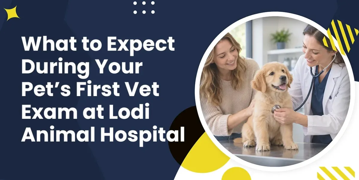 First Pet Exam in Lodi, CA: What New Pet Owners Should Know