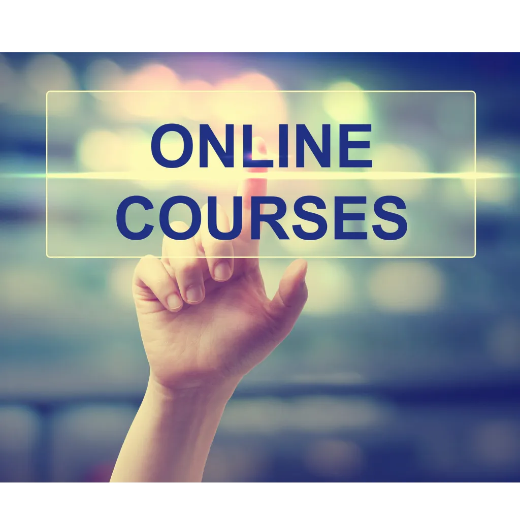 shallow focus photography of purple leafed plant