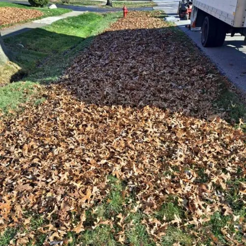 A pile of fall leaves to be removed by Tyler Anthony Group performing seasonal lawn services