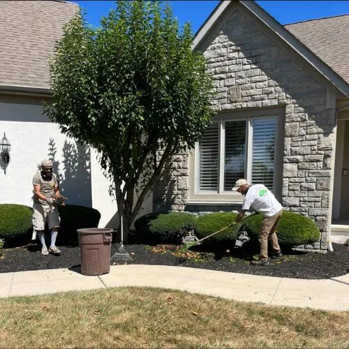 Professional lawn care services including mowing and landscaping by Tyler Anthony Group