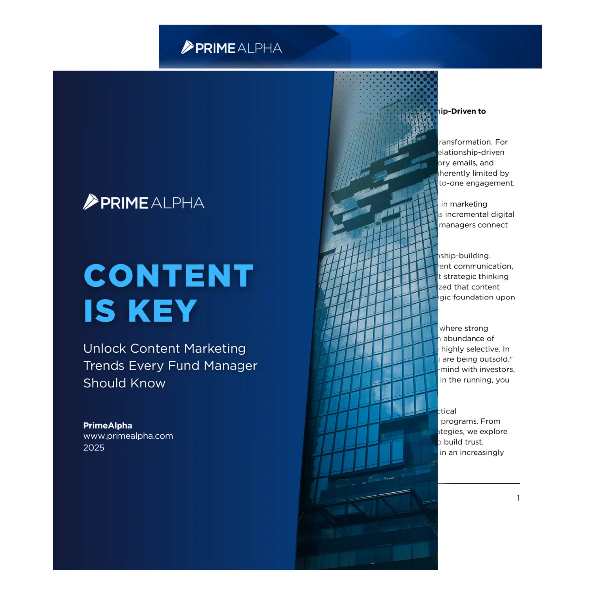 PrimeAlpha E-Book Preview