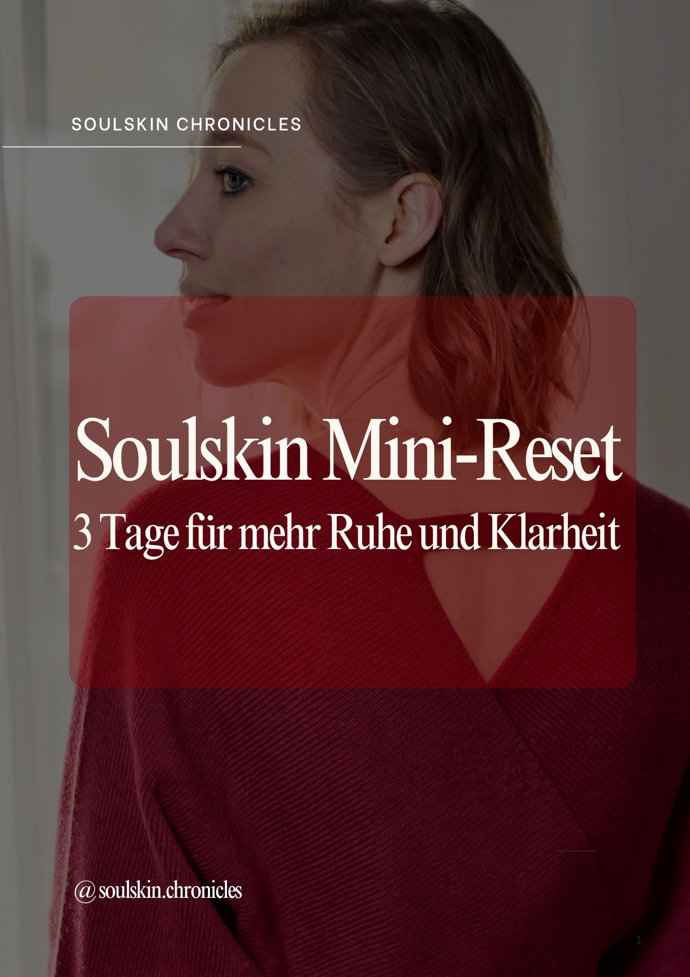 Soulskin Reset Digital Product