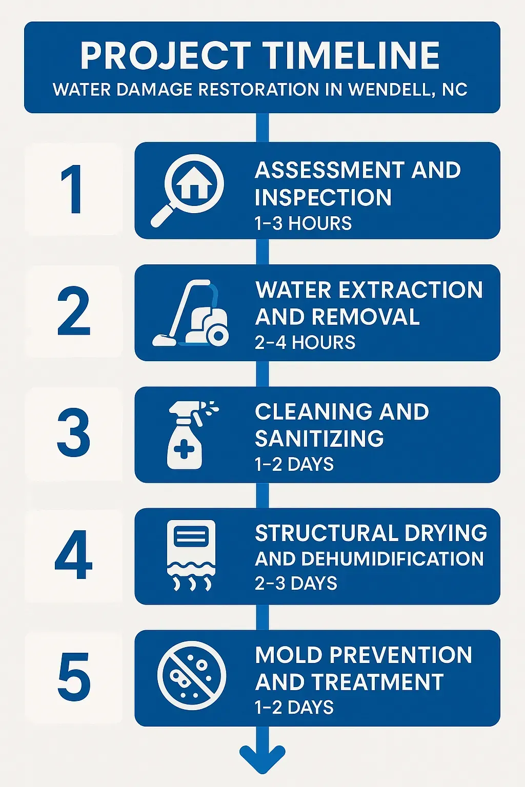 Infographic outlining Water Damage Restoration timeline in Wendell, NC: Inspection, Extraction, Cleaning, Drying, Mold Treatment.