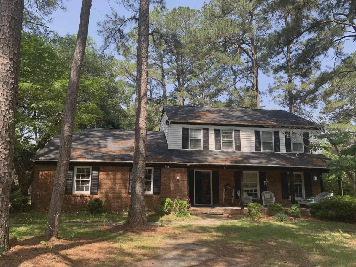 silhouette photo of people