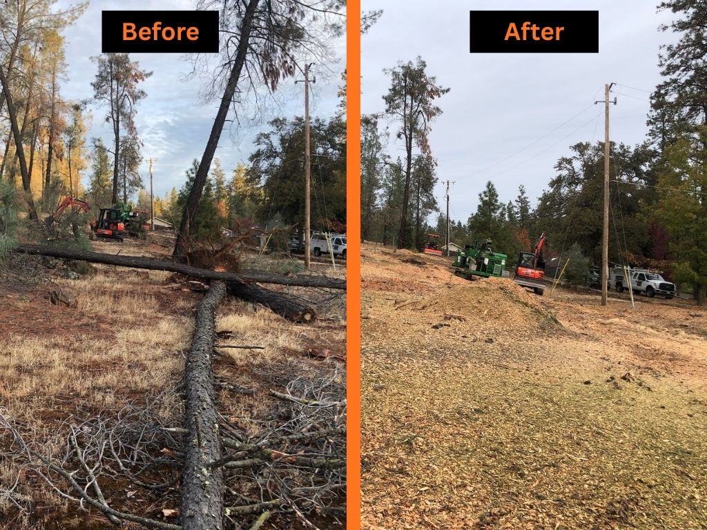 Defensible Space in Placer County: The Simple Checklist Homeowners Should Follow