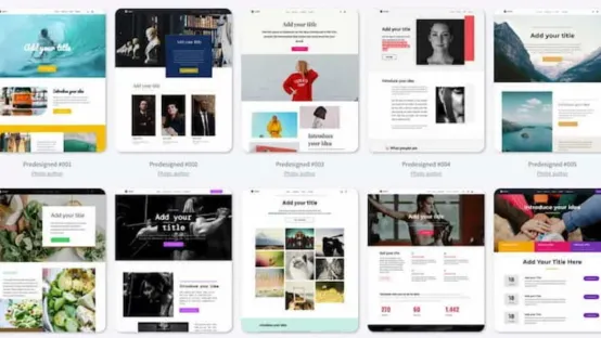 Expert Website Building Services