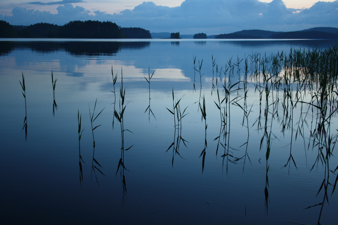The stillness...