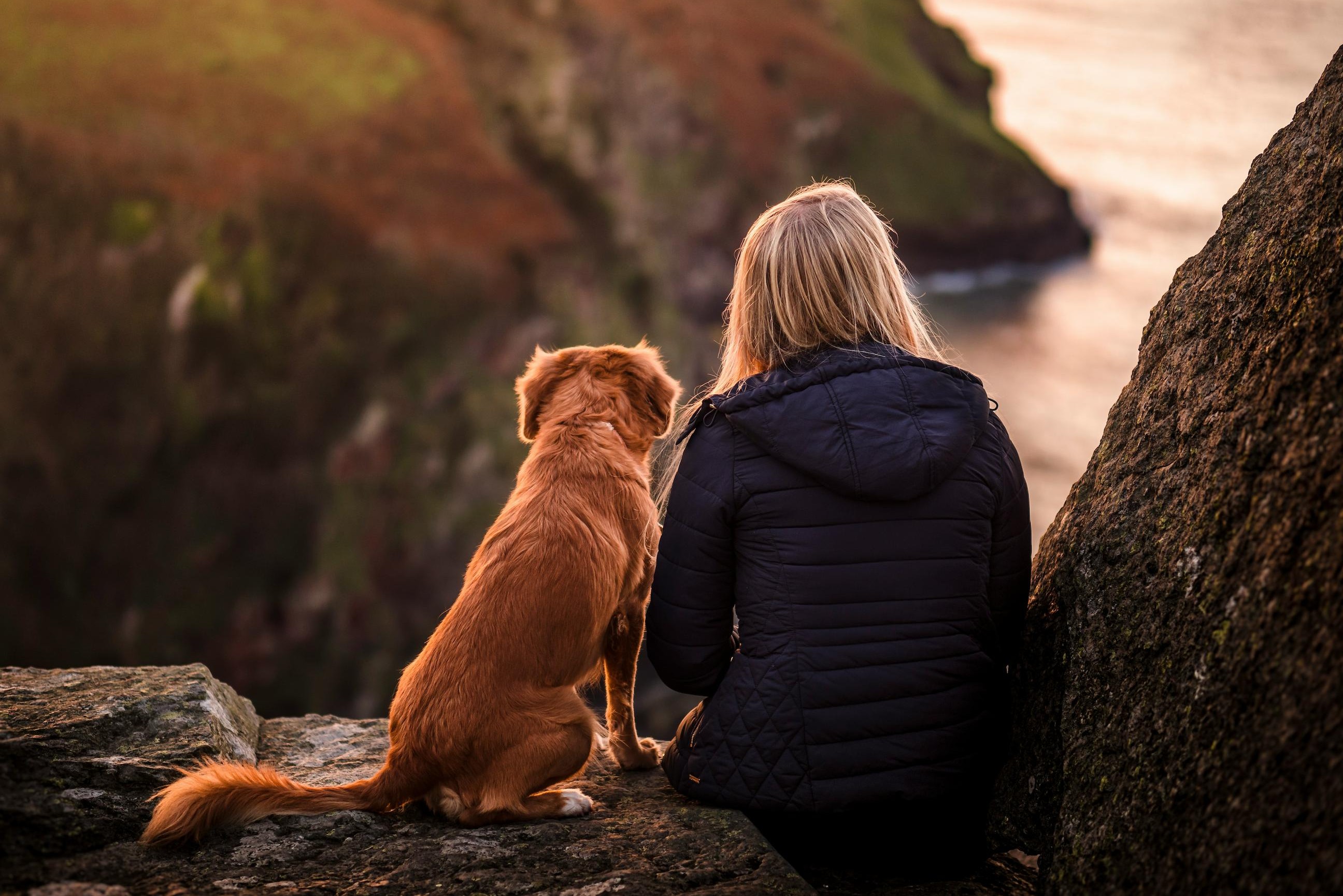 The rescue owner's experience has almost no research behind it...