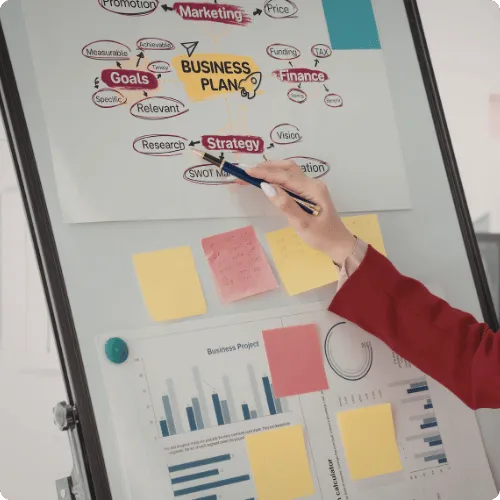 Rooted in wealth strategy, not fear