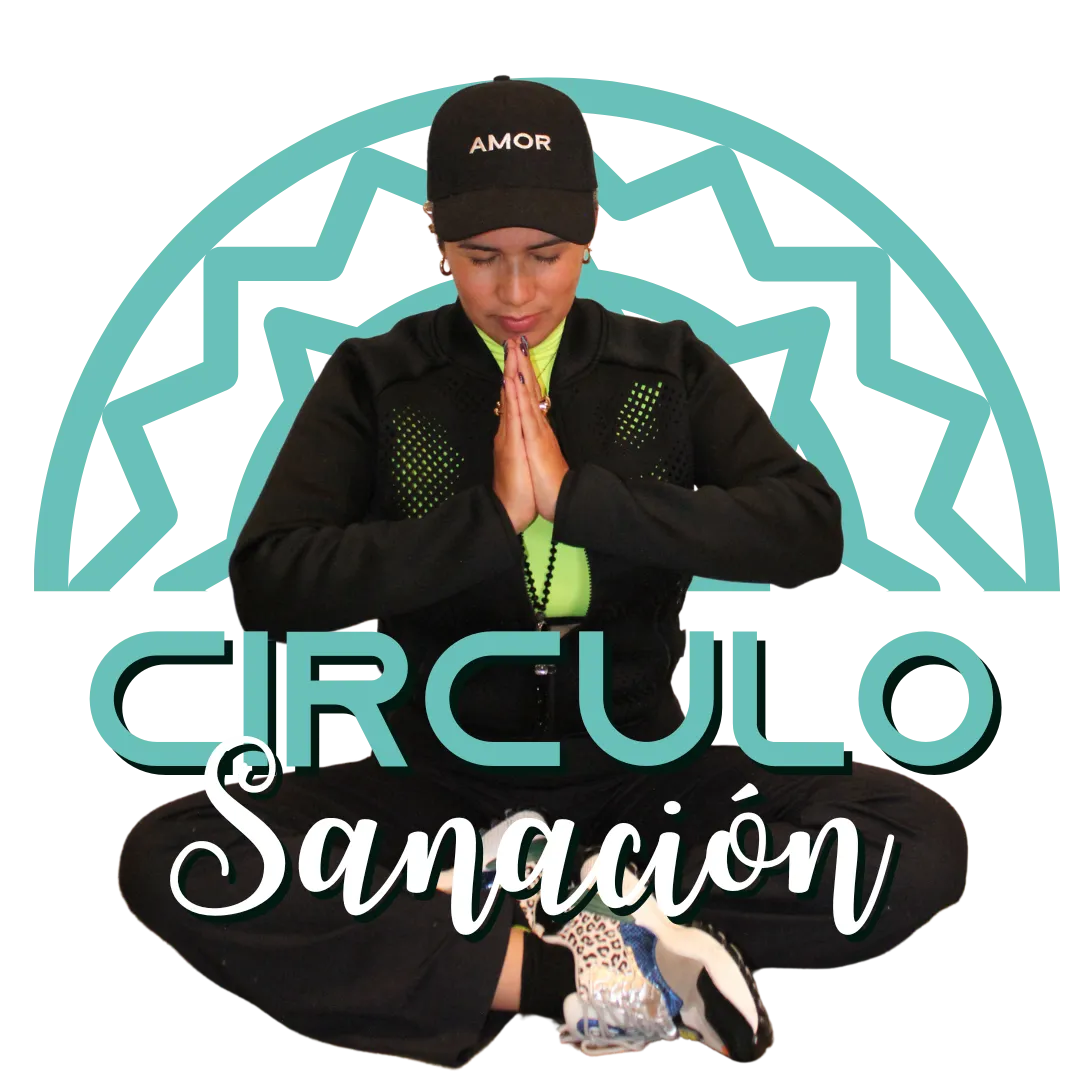 a dandelion with the sun setting in the background