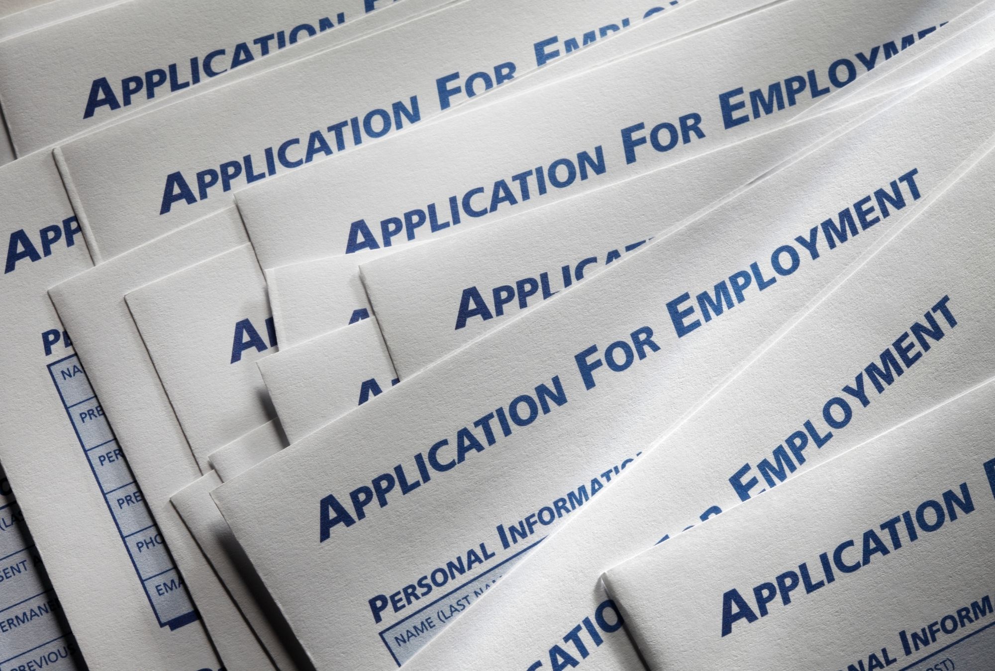 closeup photography of plant on ground