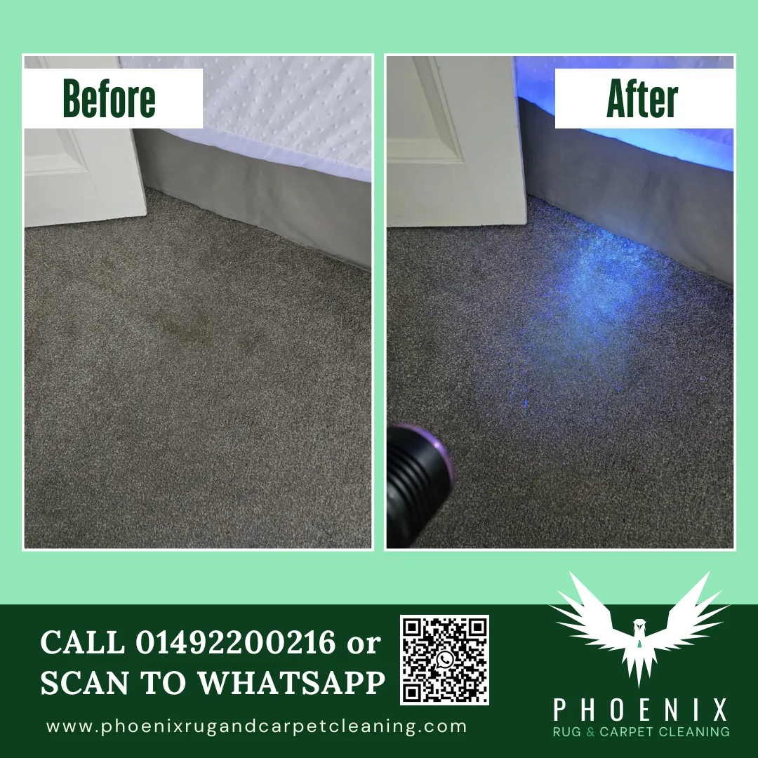 Carpet Cleaning service north wales