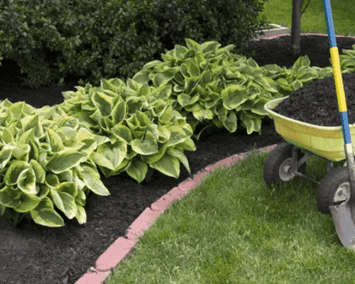 Commercial Property Services in Pittsburg