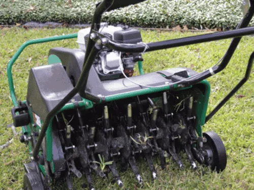 Lawn Aeration in Pittsburg