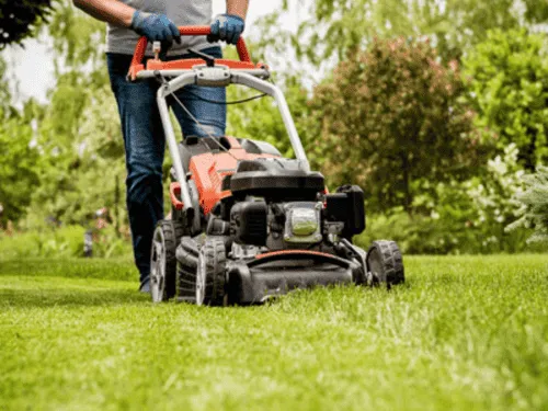 Dethatching in Pittsburg