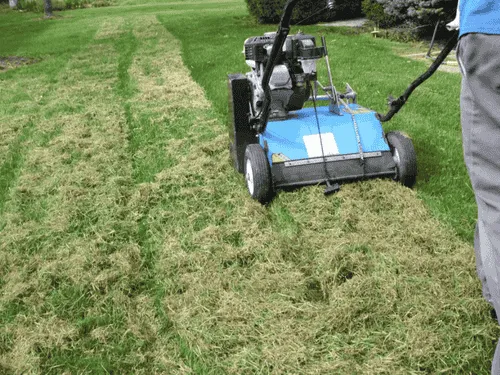 Dethatching in Pittsburg