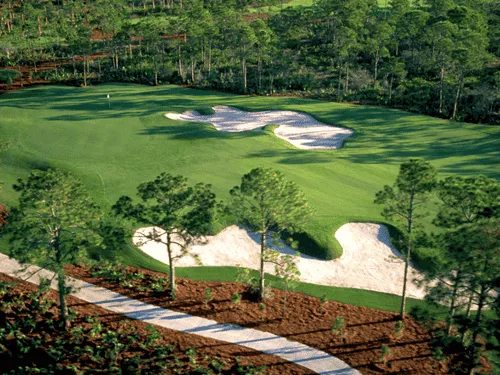 Commercial Property Services