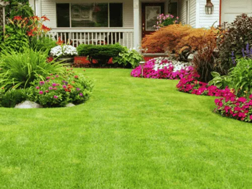  Commercial Property Services