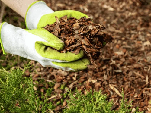  Commercial Property Services