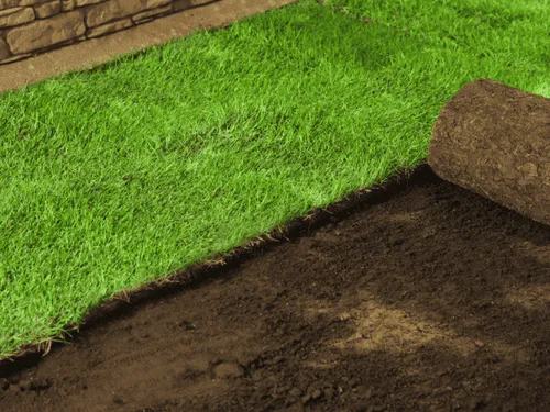 Sod Installation in Pittsburg