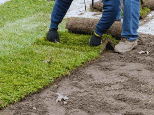  Commercial Property Services