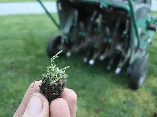 Ross Township Lawn Aeration