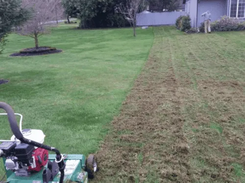  Commercial Property Services